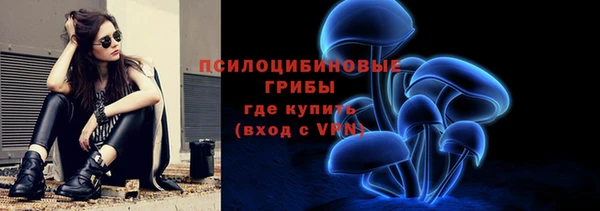 прущая мука Арсеньев