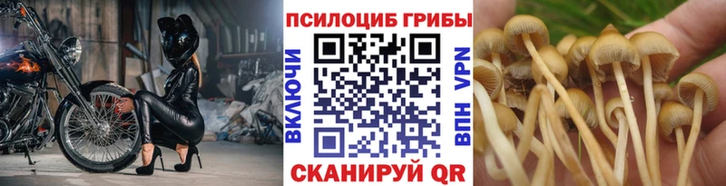 Галлюциногенные грибы ЛСД  Купить закладки  Боготол 